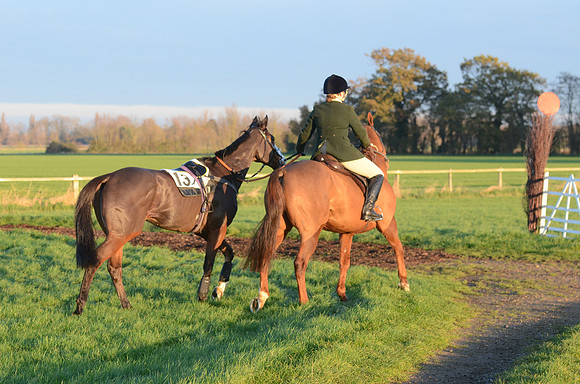 Young Horse Maiden  30