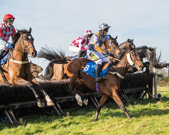 Race 5 - Restricted (31 of 146)