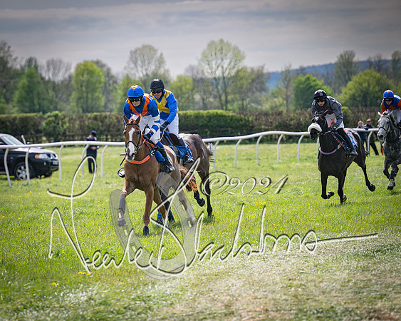 Race 2 - The Elliott of London maiden race (62 of 137)