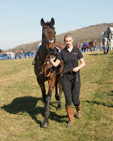 Race 2 Open Maiden (15 of 170).jpg
