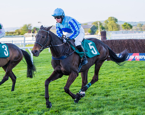 Race 5 - ITM Mares'  (30 of 181)