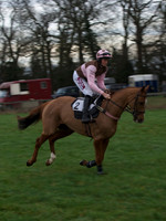 CHHC - Young Horse Maiden Division 1