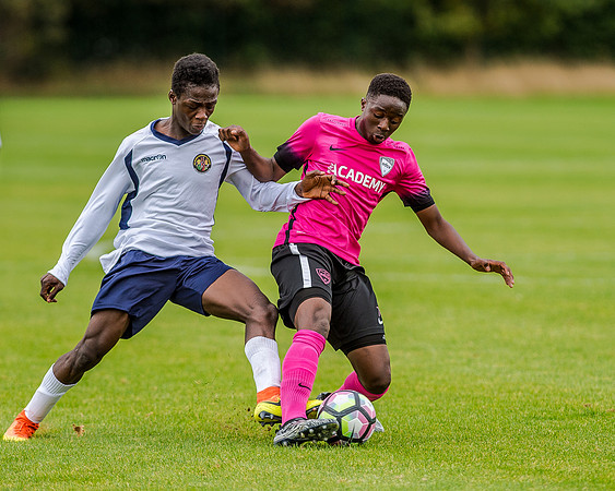 edsv 6-0 191016 (106 of 257)