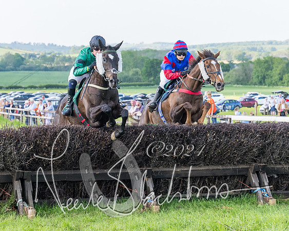 Race 7 - Veteran Horse (75 of 246)