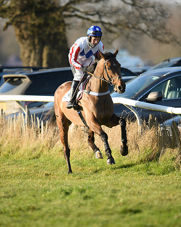 Race 3 - Restricted  (4 of 143)