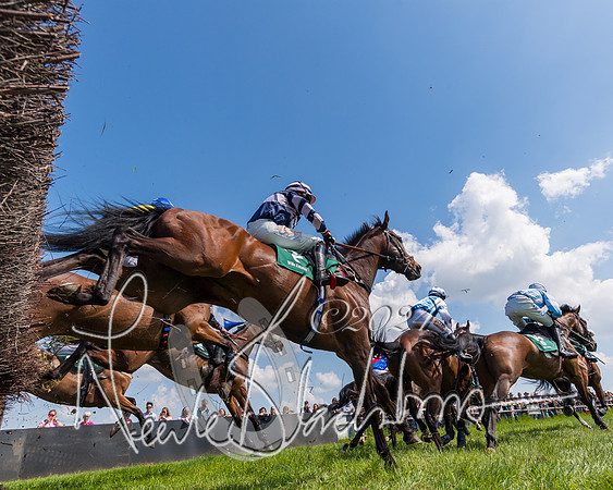 Race 2 - The Maiden  (174 of 442)