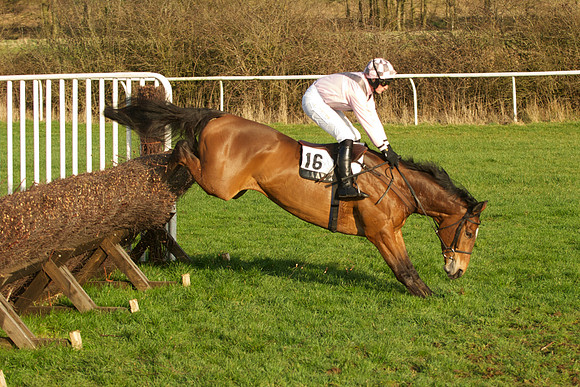 Race 7 - 26