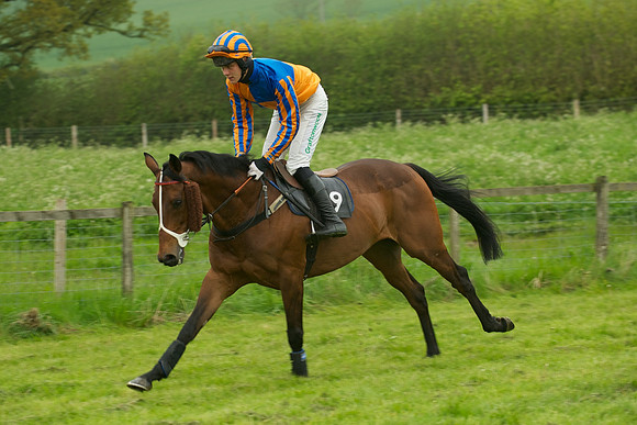 Race 2 - Novices 6