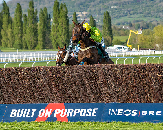Race 3 - KTDA Hunters' Steeple Chase  (145 of 226)