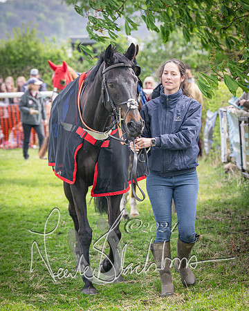 Race 2 - The Elliott of London maiden race (26 of 137)