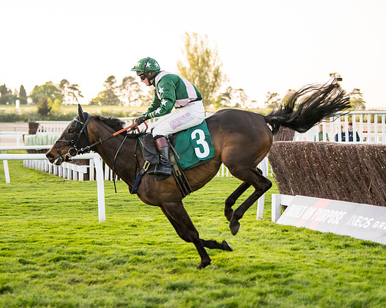 Race 5 - ITM Mares'  (69 of 181)