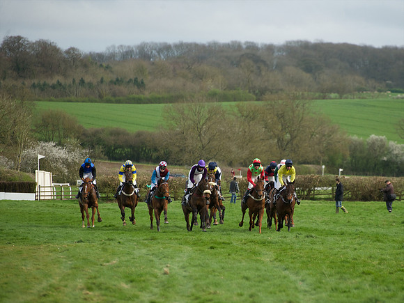 Race 5 - Restricted  46