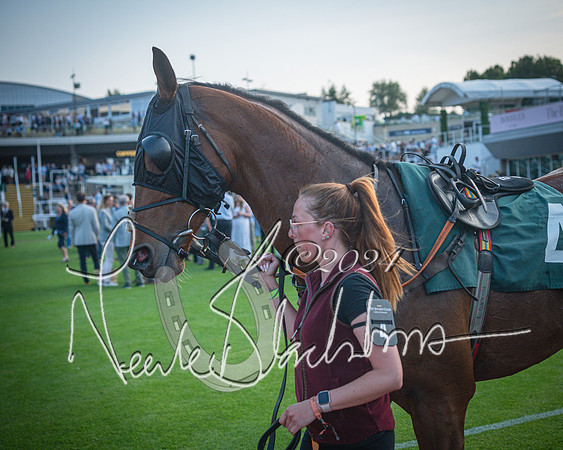 Race 6 - The Brooklands watches Golden Miller chronograph open hunter’s steeplechase 4m 97y (1 of 396)