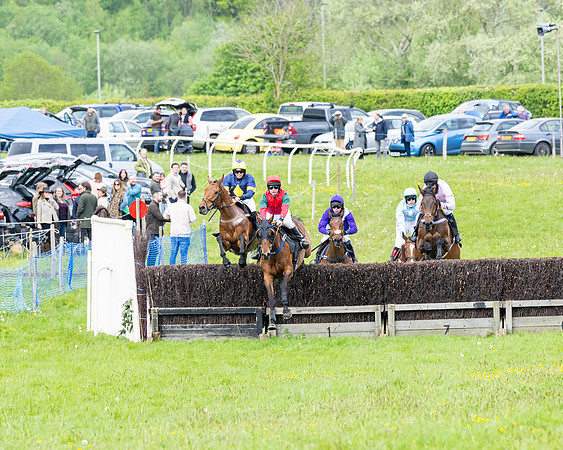 Race 2 - Veteran Horse (5 of 80)