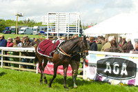 Race 2 - Open Maiden  9