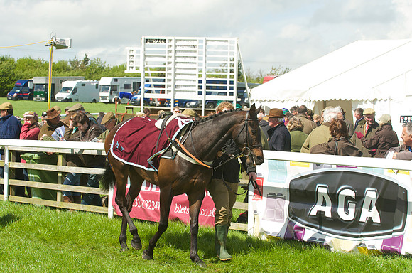 Race 2 - Open Maiden  9