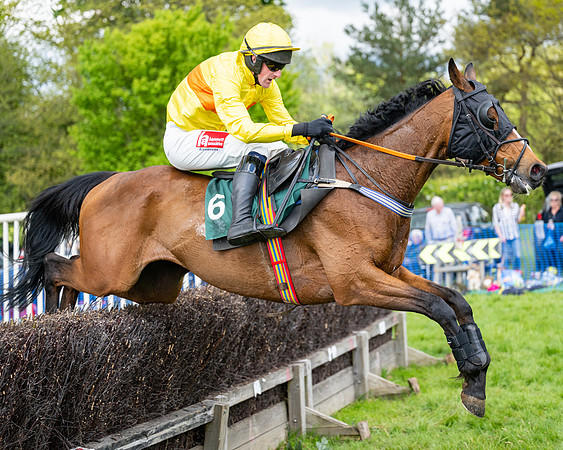 Race 5  - Maiden  (70 of 84)
