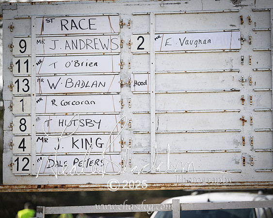 Race 1 - Four and Five year Old Maiden (1 of 137)