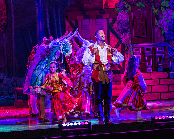 Swan Panto 2017