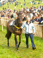 Old Berks at Lockinge Restricted Race