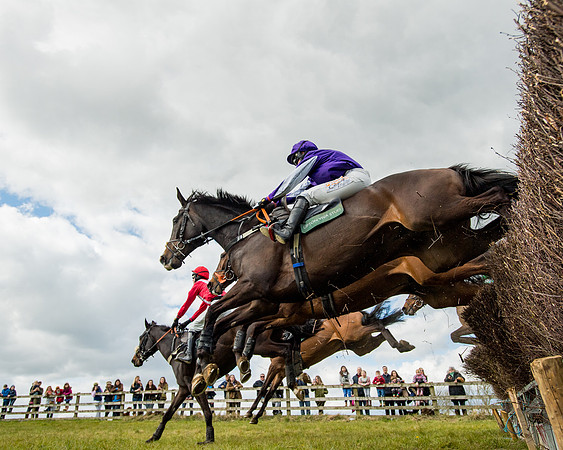 Race 2 - Young Horse Maiden (40 of 104)