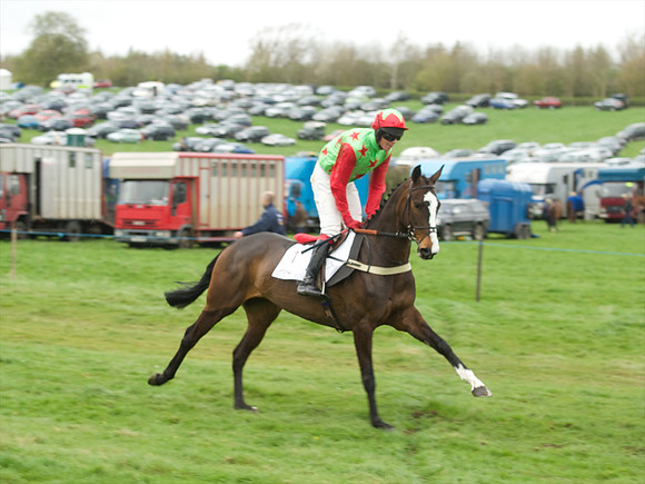 Race 6 - Maiden  38