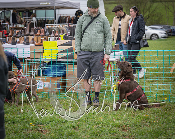 Bicester - Dog Show (73 of 106)