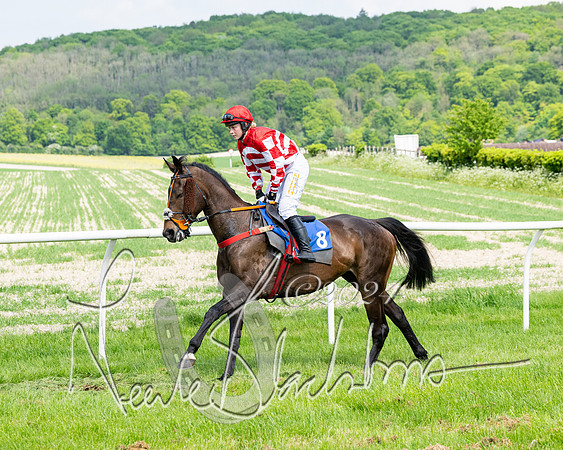 Race 2 - Restricted  (116 of 308)
