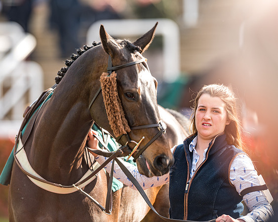 Race 2  -  Intermediate Point to Point Hunters' Steeple Chase (13 of 277)