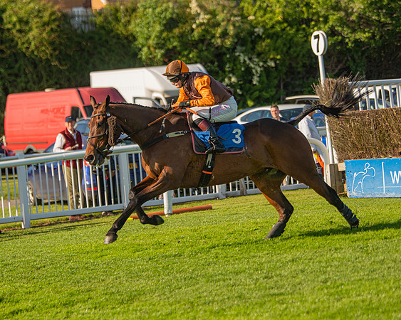 Race 2 - Nimrod Ladies Open (37 of 82)