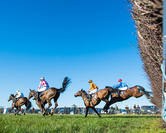 Race 6 - Restricted  (177 of 291)