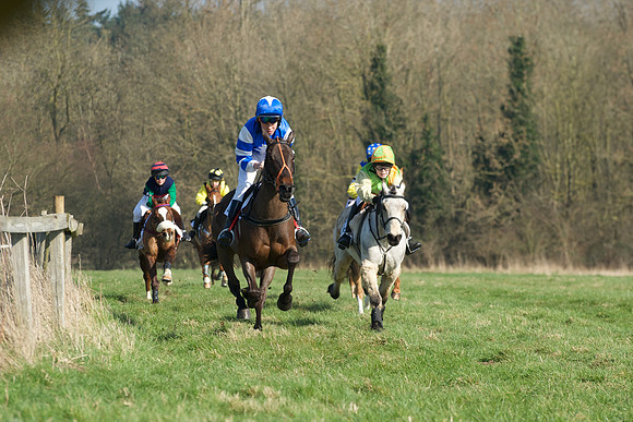 Pony Races -  21