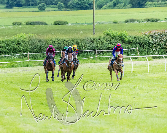 Race 3 - Conditions (204 of 367)