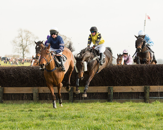 Race 6 - Open Maiden Race (52 of 99).jpg