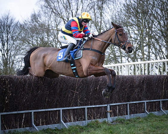 Race 4 - Fairly Famous - Gina Andrews (8 of 23)