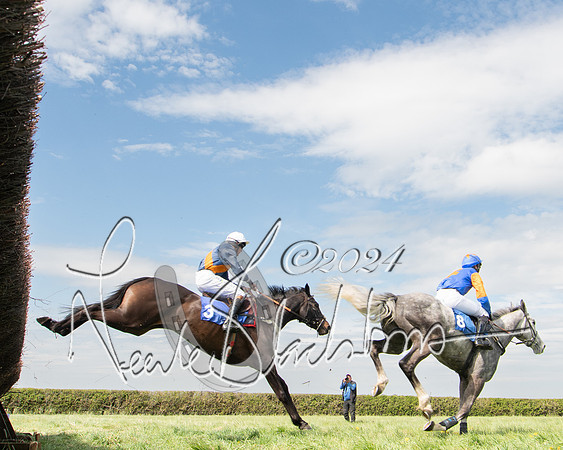 Race 2 - The Elliott of London maiden race (93 of 137)