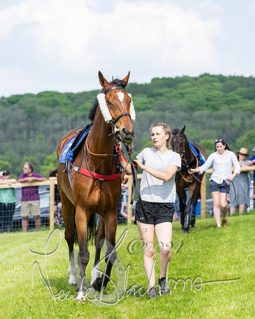 Race 3 - Ladies Open  (11 of 133)