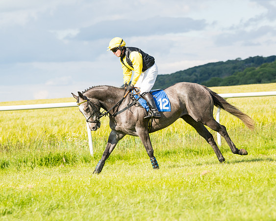 Race 6 - Open Maiden (82 of 227)