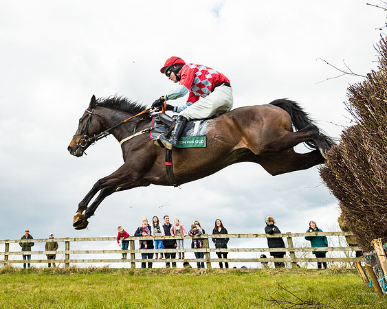 Race 3 - Owner Trainer conditions (85 of 132)