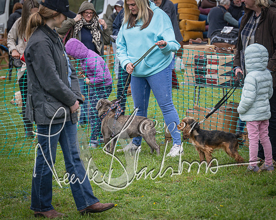 Bicester - Dog Show (24 of 106)