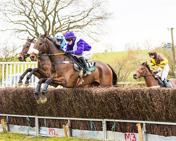 Race 6 - 6 year old and over Maiden 2m4f (13 of 62)