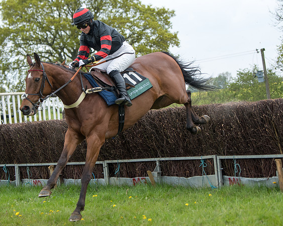 Race 2 - Jockey Club ROR veteran Horse (54 of 104)