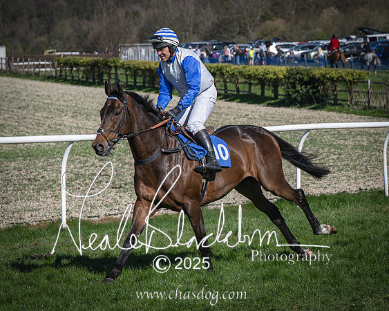 Race 6 - Veteran horse (36 of 109)