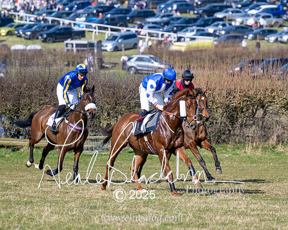 Race 1 - Maiden (61 of 188)