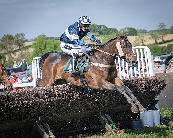 Race 5 - Restricted (87 of 116)