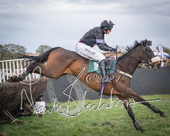 Race 3 - 5 years old and Over Maiden Race (67 of 130)