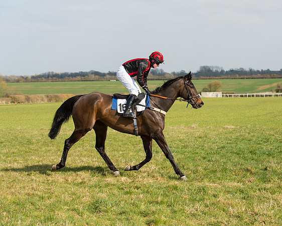 Race 2 - COnfined Hunts race (32 of 144).jpg