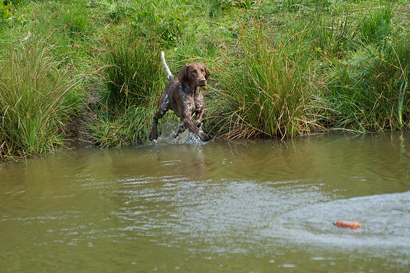 WCGB-04AUG-2013 Water Training Day 170