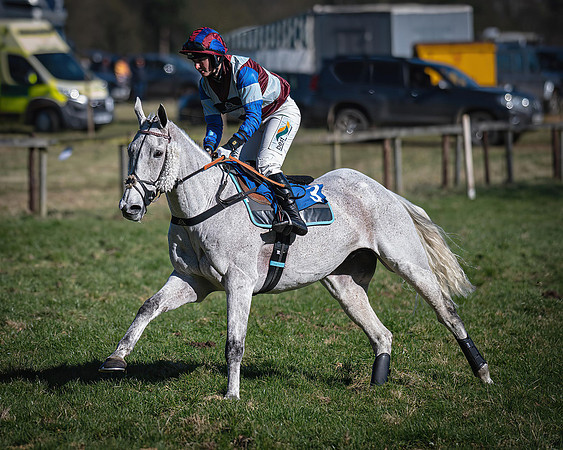 Race 1 - Veteran Horse (13 of 62)