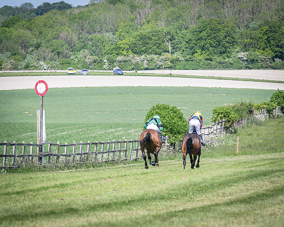 Race 3 The College and County Ladies Open Race (92 of 122)